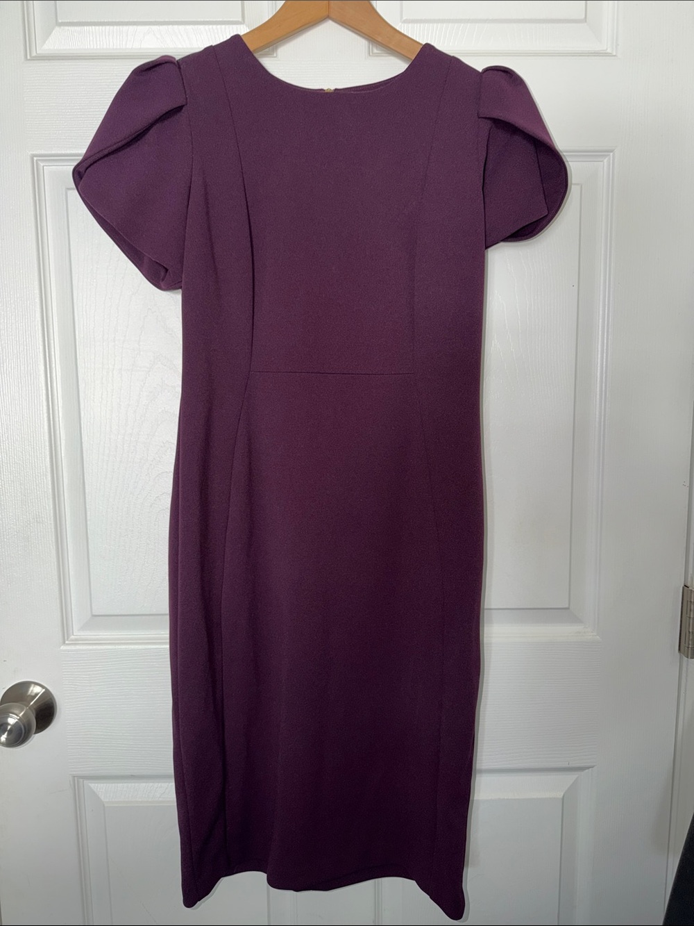 Calvin Klein Elegant Tulip Sleeve Sheath Dress